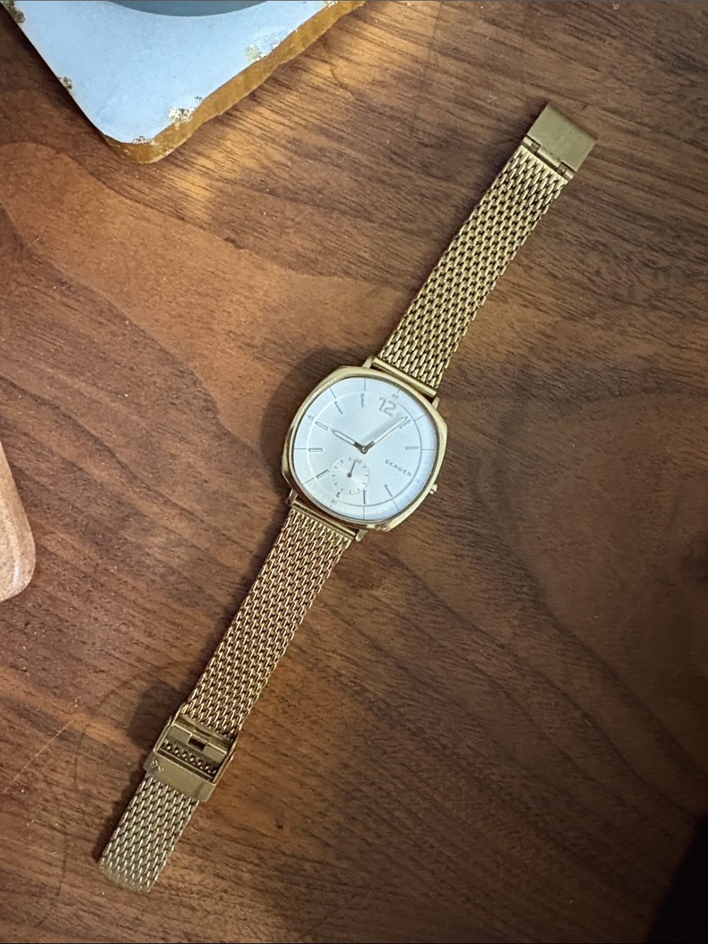 〰️ skagen watch